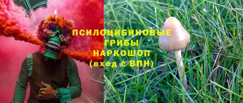 Галлюциногенные грибы Magic Shrooms  Канск 